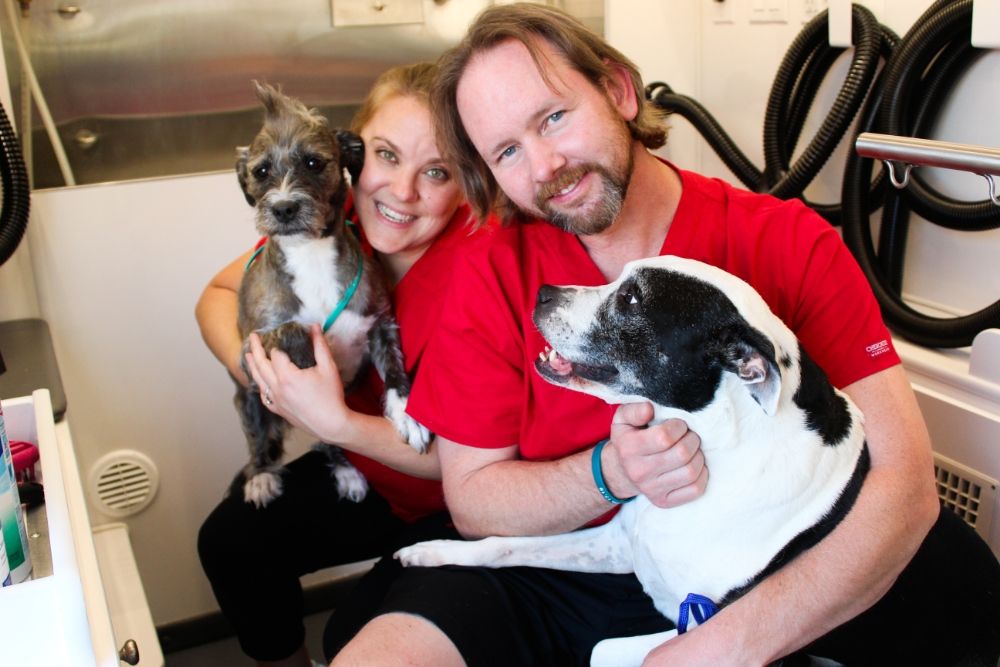 Shannon and James with their dogs