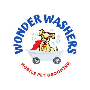 Wonder Washers Logo